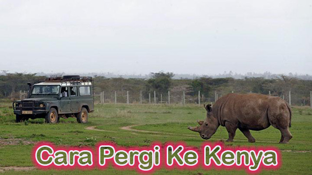 Cara Pergi Ke Kenya