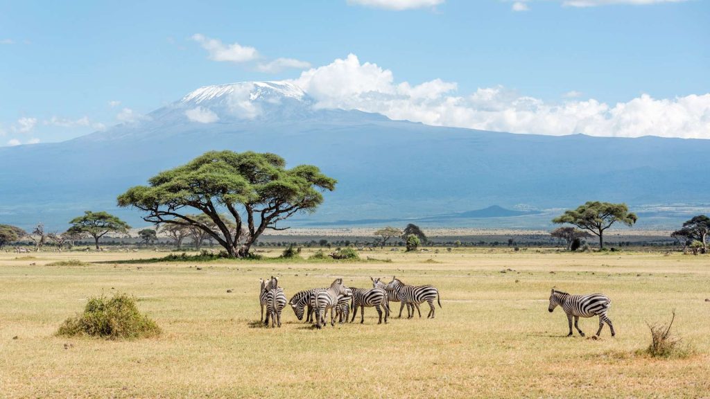 5 Hal Penting Yang Harus Anda Ketahui Sebelum Datang ke Kenya